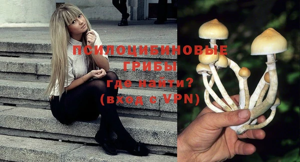 мяу мяу мука Вяземский