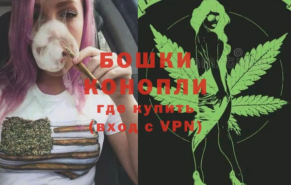 ГАЛЛЮЦИНОГЕННЫЕ ГРИБЫ Вязьма