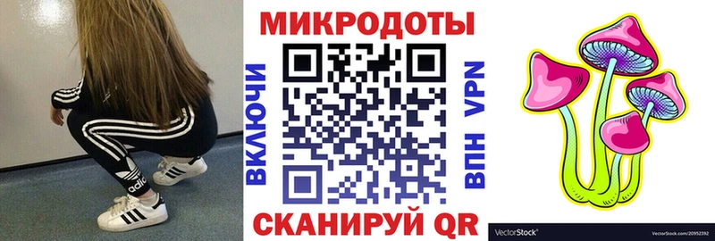 где можно купить наркотик  Петровск-Забайкальский  Псилоцибиновые грибы Psilocybine cubensis 